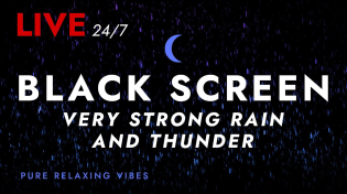 Thumbnail for 🔴 Sleep Fast with Pure Nature Rain and Incredible Present Thunder Sounds | Black Screen