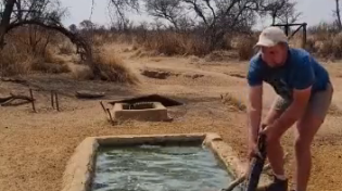 Thumbnail for South African farmer finds a little snake in the drinking trough