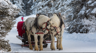 Thumbnail for Beautiful Instrumental Christmas Music: Peaceful Christmas music 