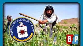 Thumbnail for 100% DROP In Afghan Opium: How CIA Propped Up Drug Trade For Years | Breaking Points