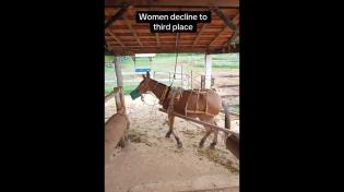 Thumbnail for Women decline to third place | FunnyMemeSpot