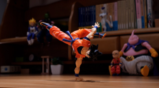 Thumbnail for Dragonball - Goku Practices Martial Arts | Stop Motion | Animist