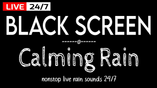 Thumbnail for Say Goodbye to Insomnia with Black Screen Rain Sounds for Sleep & Relaxation | Sleep Sounds Rain