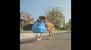 Thumbnail for The porch pirate is a doggy! | #TheRookie | The Rookie (Fan Page)