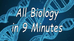 Thumbnail for All of Biology in 9 minutes | Sciencephile the AI