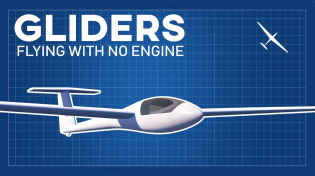 Thumbnail for How can gliders fly without propulsion | The most complete explanation | Joyplanes