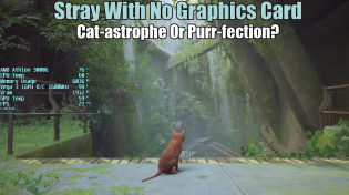 Thumbnail for Stray With No Graphics Card | RandomGaminginHD