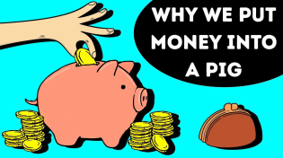 Thumbnail for That's Why Piggy Banks Are Pigs | BRIGHT SIDE