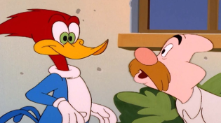 Thumbnail for Woody helps Wally in love | Woody Woodpecker