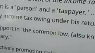 Thumbnail for Only People, Human Beings And Homo Sapiens Have To Do Taxes Not Man Or Woman.