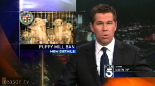 Thumbnail for LA to Pet Stores: You Can't Sell Animals Unless They're Rescued (Nanny of the Month, Oct. '12)