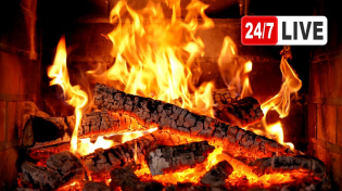 Thumbnail for 🔥 Cozy Fireplace 4K (LIVE 24/7). Fireplace with Crackling Fire Sounds. Christmas Fireplace 2024 | FOBOS PLANET