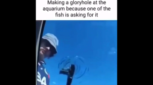 Thumbnail for Making a gloryhole at the aquarium because one of the fish is asking for it | FunnyMemeSpot