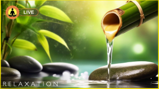 Thumbnail for 🔴 Relaxing Music 24/7, Sleep Music, Stress Relief Music, Spa, Meditation, Yoga, Zen, Calming Music | Yellow Brick Cinema - Relaxing Music