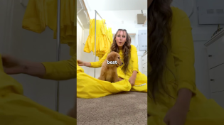 Thumbnail for Making My Puppy A Yellow Dress 😊 | Yellow Dress Girl