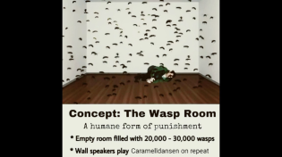 Thumbnail for Concept: The Wasp Room A humane form of punishment *empty room filled with 20,000-30,000 wasps | FunnyMemeSpot