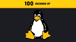 Thumbnail for Linux in 100 Seconds | Fireship