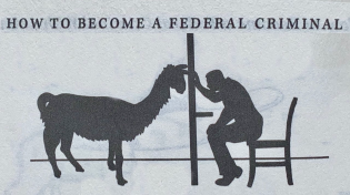 Thumbnail for You Can Get 5 Years in Prison for Selling Llama Poop. A Chronicle of Our Most Ludicrous Laws