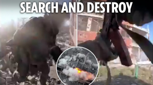 Thumbnail for Heart-pounding footage shows Ukrainian troops taking Russian stronghold after hand-to-hand combat