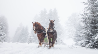 Thumbnail for Celtic Christmas Carols, Soft Holiday Christmas Music "Snowy Winter Sleigh Ride "Open Road Folk | Open Road Folk Music