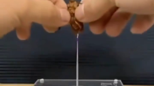 Thumbnail for Popular mechanics for kids - Here's what happens when you impale a cockroach on a plasma stick.